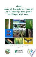 Guía para el trabajo de campo en el manejo integrado de plagas del arroz