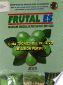 Guia Tecnica Cultivo Del Limon Persico