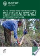 Hacia concesiones forestales en las zonas tropicales que contribuyan a la consecución de la Agenda 2030