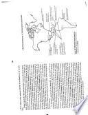 Historia de la iglesia en America Latina
