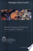 Hongos liquenizados