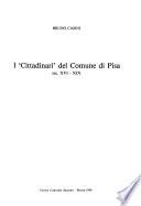 I 'Cittadinari' del Comune di Pisa