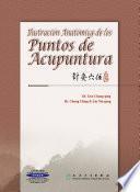 Ilustración Anatómica de los puntos de acupuntura