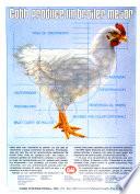 Industria avicola