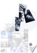 Informe anual 2003