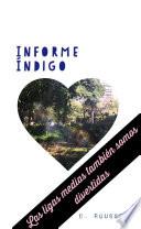 Informe Índigo