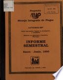 Informe semestral
