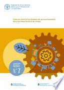 Informe sobre la factibilidad del aprovechamiento de la biomasa forestal de campo
