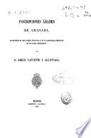Inscripciones árabes de Granada