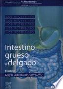 Intestino Grueso y Delgado