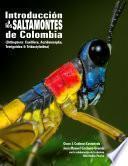 Introduccion a los saltamontes de Colombia