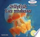 Jellyfish / Las medusas