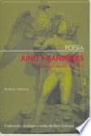 Juno y Ganimedes