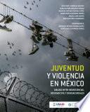 Juventud y violencia en México