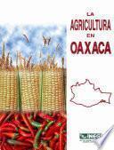 La agricultura en Oaxaca