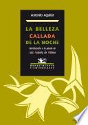 La belleza callada de la noche