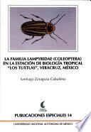 La familia Lampyridae (Coleoptera) en la Estación de Biología Tropical Los Tuxtlas, Veracruz, México