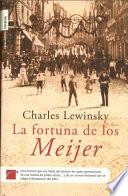 La fortuna de los Meijer