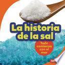La historia de la sal (The Story of Salt)