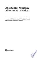 La lluvia entre tus dedos