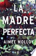 La madre perfecta