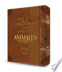 La Magia Cinematográfica de Animales Fantásticos y dónde Encontrarlos