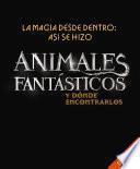 La Magia Desde Dentro: Asi Se Hizo Animales Fantasticos y Donde Encontrarlos