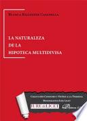 La naturaleza de la hipoteca multidivisa.