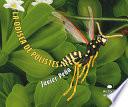 La odisea de Polistes