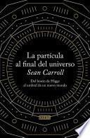 La partícula al final del universo