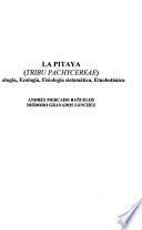 La pitaya (tribu Pachycereae)