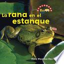 La rana en el estanque