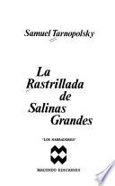 La rastrillada de Salinas Grandes