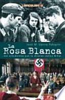 La rosa blanca