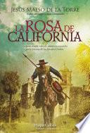 La rosa de California