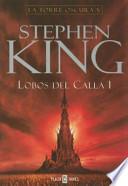 La Torre Oscura V