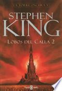 La Torre Oscura V