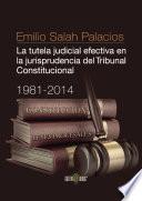 La tutela judicial efectiva en la jurisprudencia del Tribunal Constitucional. 1981-2014