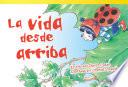 La vida desde arriba (Life at the Top)