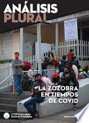 La zozobra en tiempos de COVID (Análisis plural. Segundo Semestre 2020)