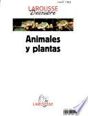 Larousse descubre