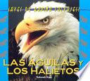 Las águilas y los halietos