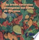 Las áreas naturales protegidas del norte de Morelos