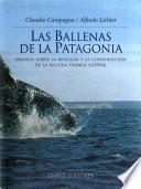 Las ballenas de la Patagonia