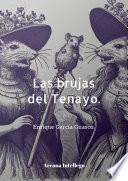 Las Brujas del Tenayo
