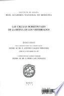 Las células horizontales de la retina de los vertebrados