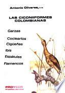 Las ciconiiformes colombianas