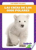 Las Crias de Los Osos Polares (Polar Bear Cubs)
