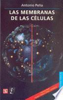 Las membranas de las celulas