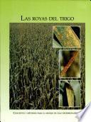Las royas del trigo: Conceptos y metodos para el manejo de esas enfermedades